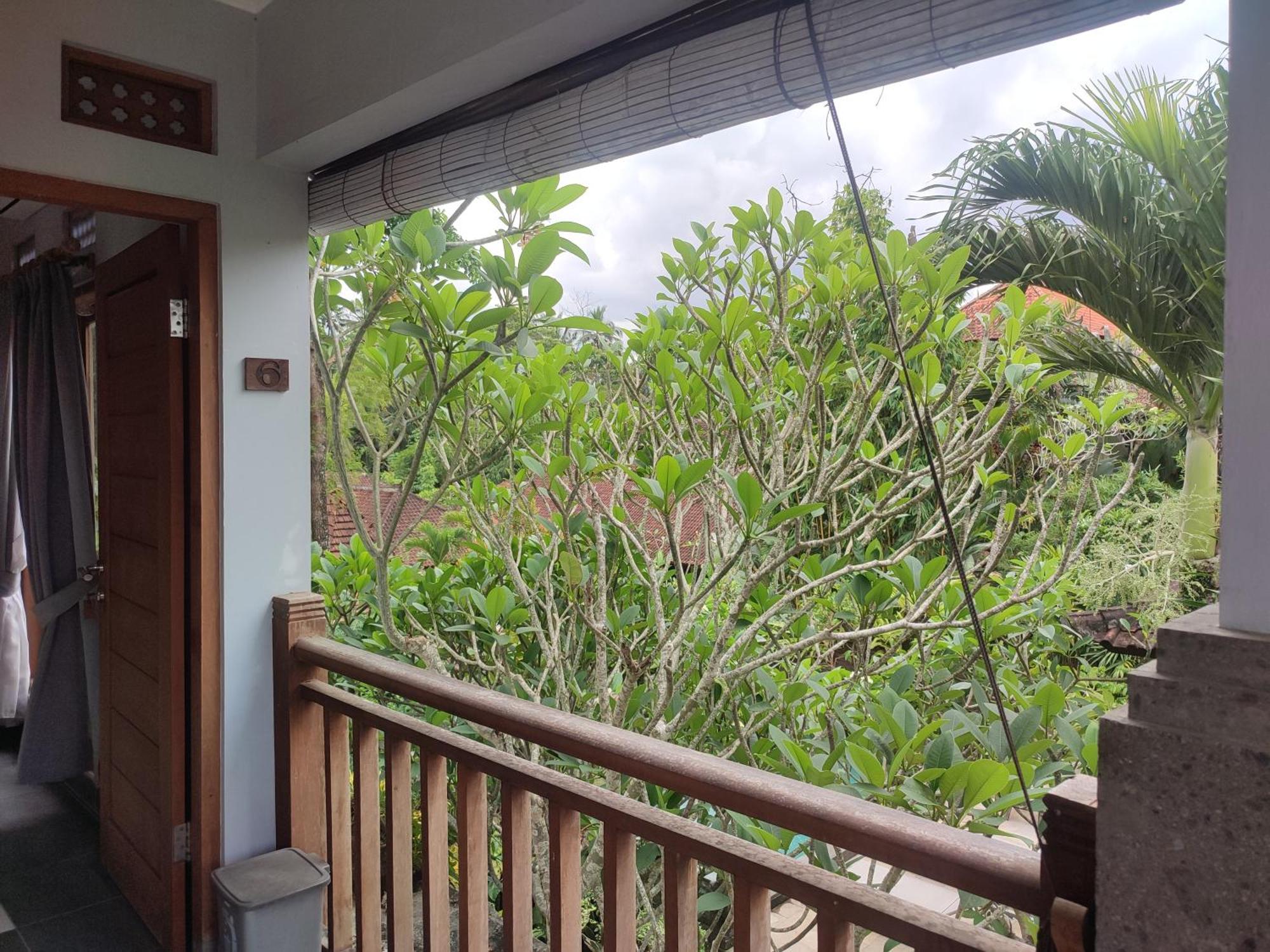 Nyoman Homestay Ubud Exterior foto