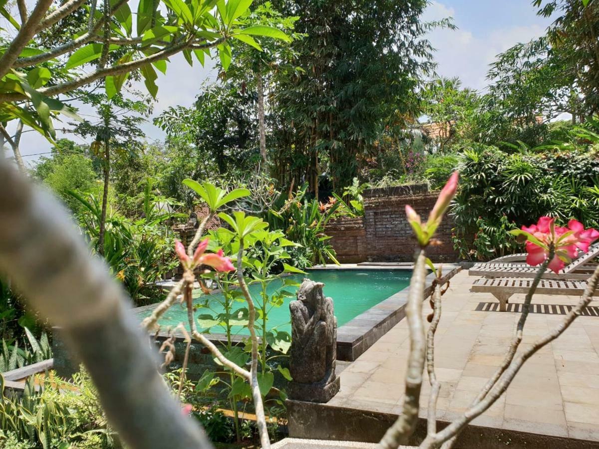 Nyoman Homestay Ubud Exterior foto